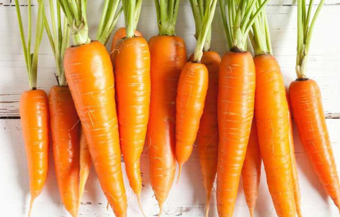 Củ cà rốt là một trong những loại củ có sức sống rất tốt