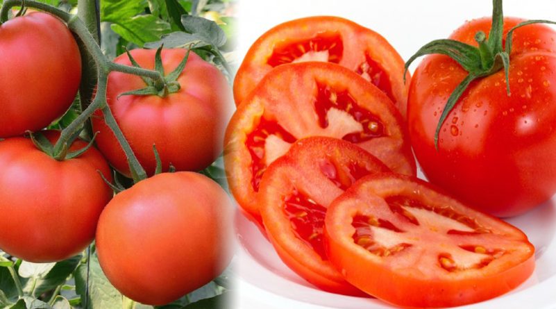 Ăn cà chua khi đói sẽ khiến bạn đau dạ dày